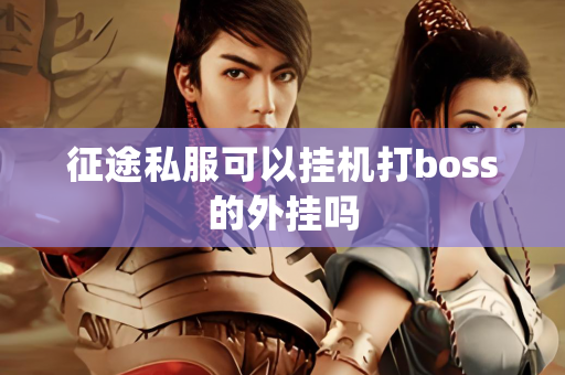 征途私服可以挂机打boss的外挂吗